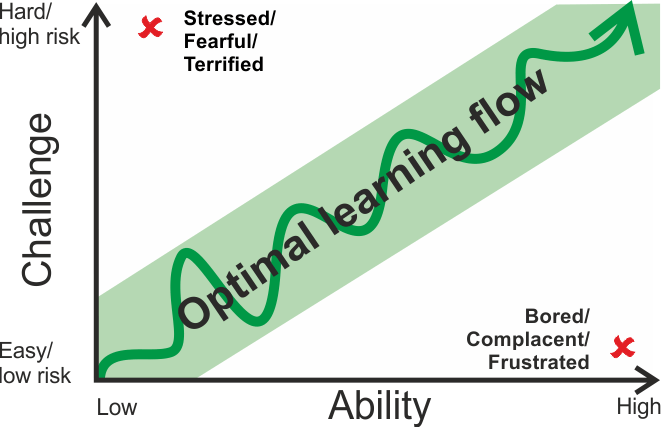 Optiminal learning flow diagram