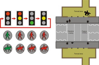 Equestrian crossing lights