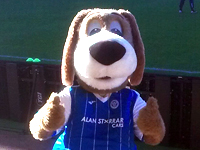 Andrew Allan's Testimonial